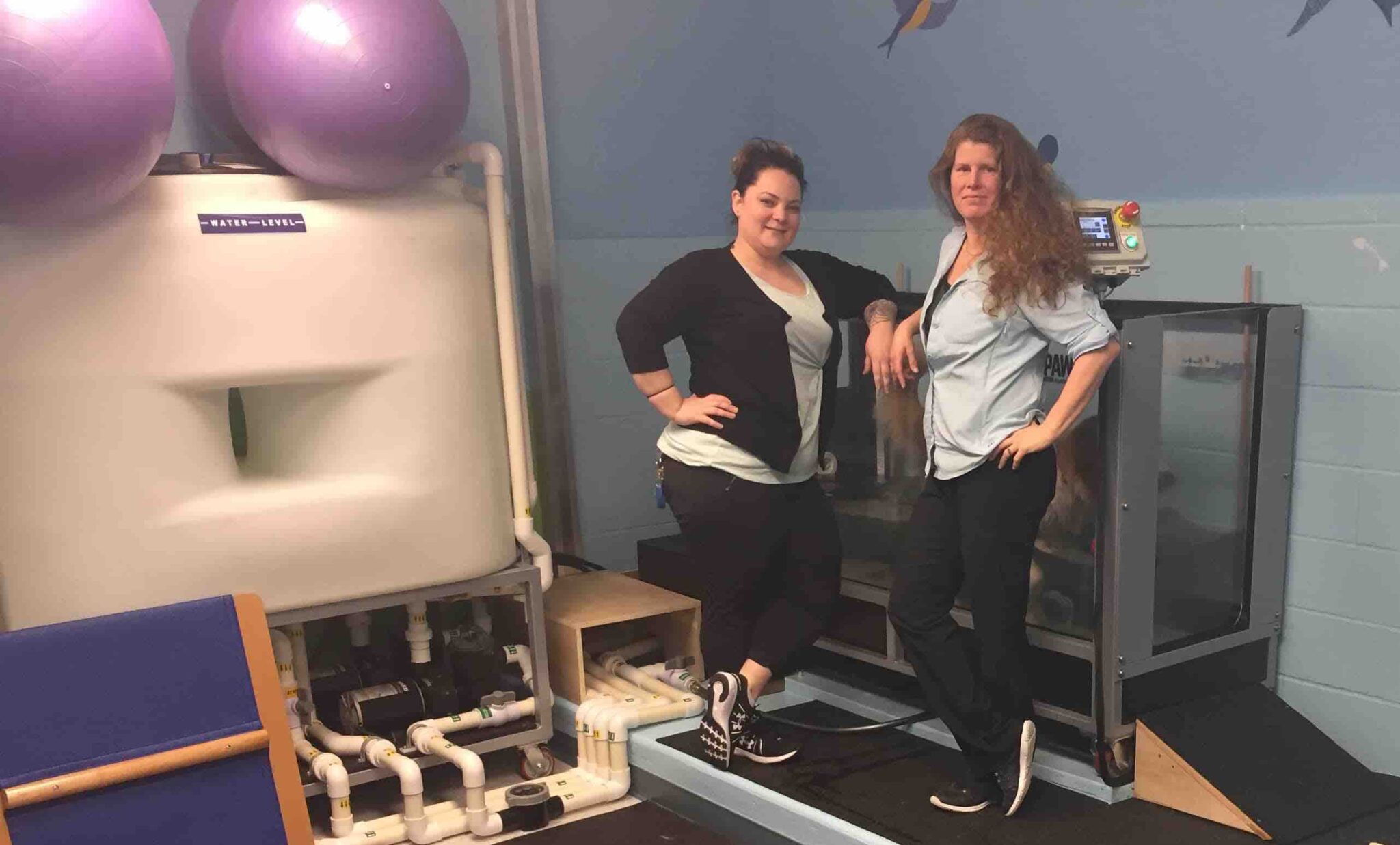 Contact Salem Oregon Animal Rehabilitation